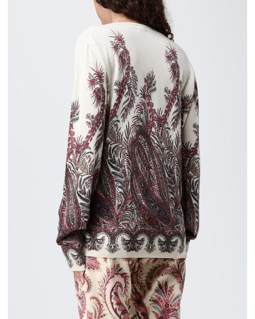 Etro Gray Jumper