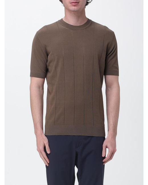 Kangra Brown Cotton Crew Neck Pullover for men