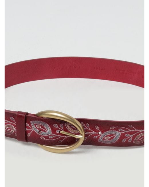 Orciani Red Belt