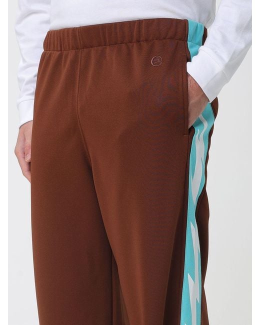 Champion Brown Trousers for men