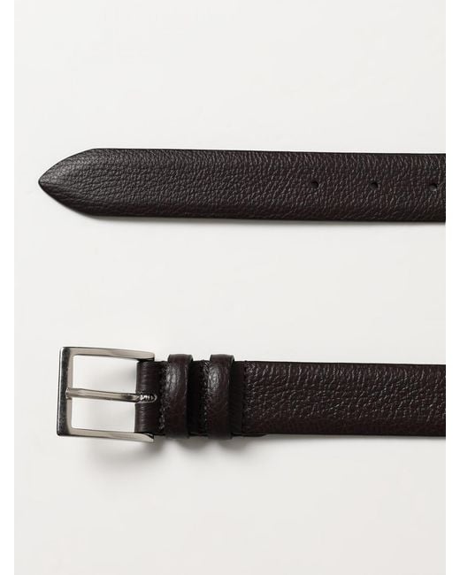 XC Multicolor Belt for men
