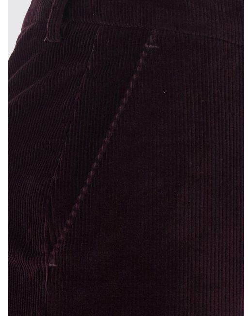 PT Torino Purple Pants