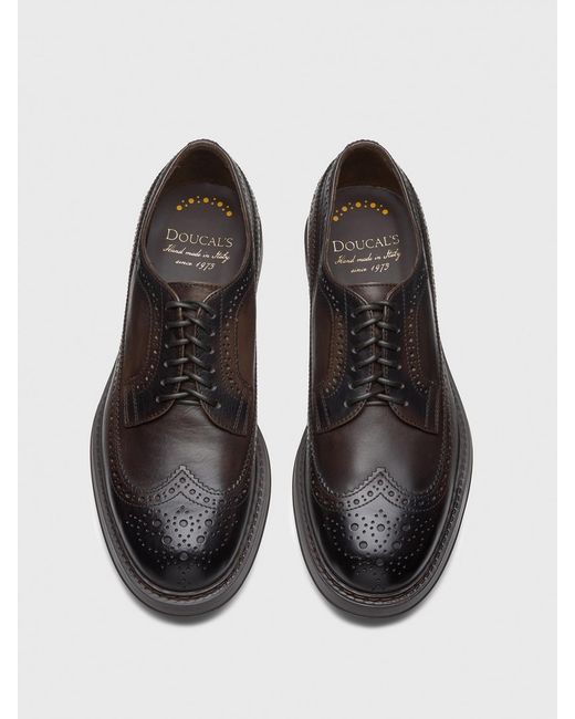Doucal's Brown Brogue Shoes for men