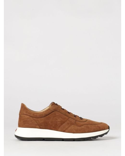 Tod's Brown Dot Suede Sneakers for men