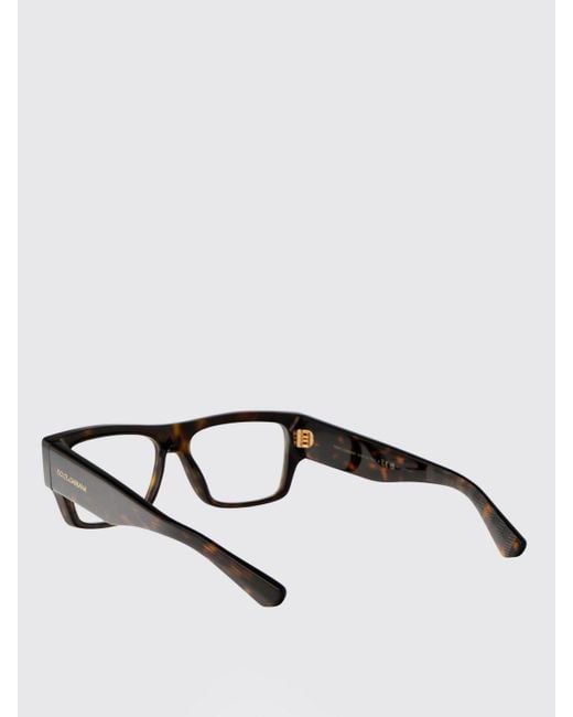 Dolce & Gabbana Brown Dolce &Amp Gabbana 0Dg3379 Acetate Eyeglasses