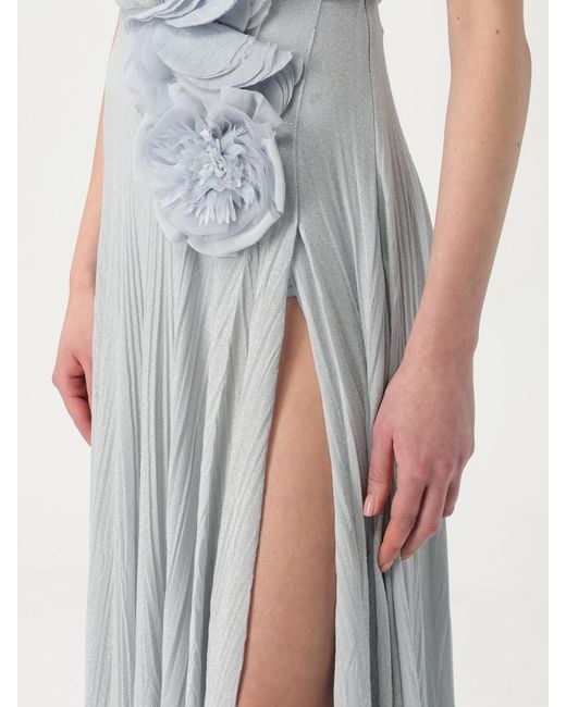 Elisabetta Franchi Gray Pleated Maxi Dress With Floral Applique