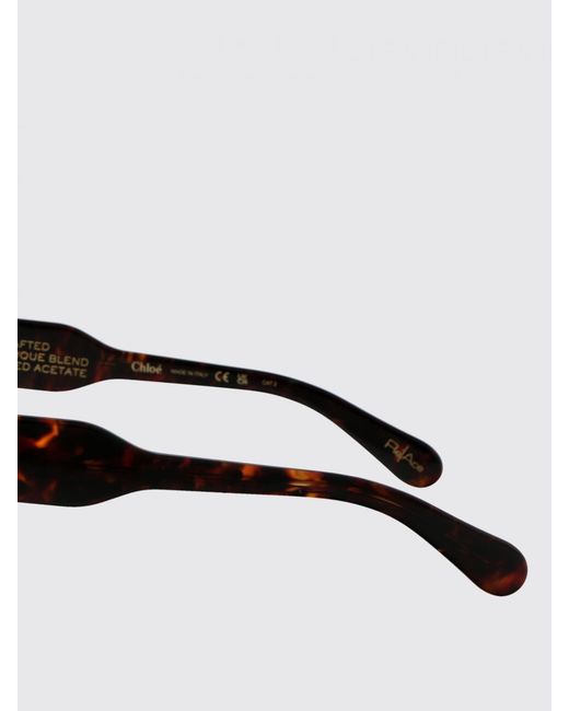 Chloé Brown Chlo&Eacute Ch0190S Acetate Sunglasses