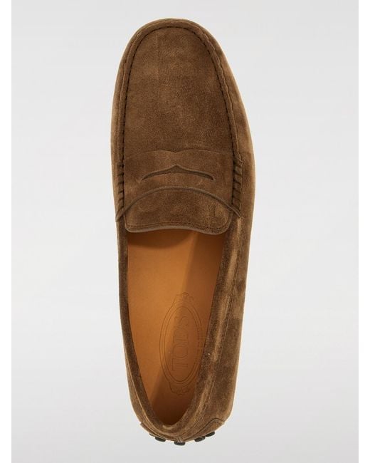 Tod's Brown Driver Suede Loafer for men
