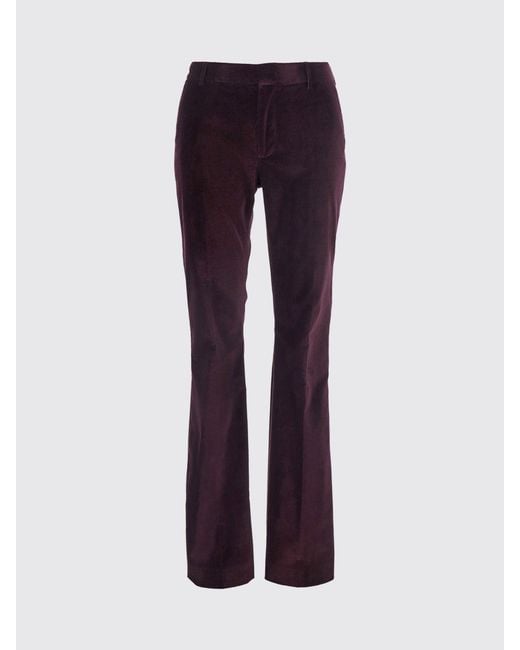 PT Torino Purple Pants