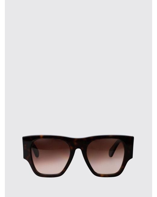 Chloé Brown Sunglasses