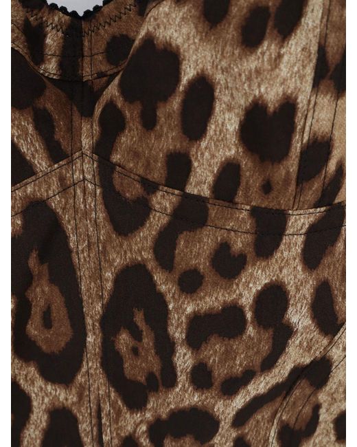 Dolce & Gabbana Black Dolce &Amp Gabbana Animalier Cotton Cropped Corset Top