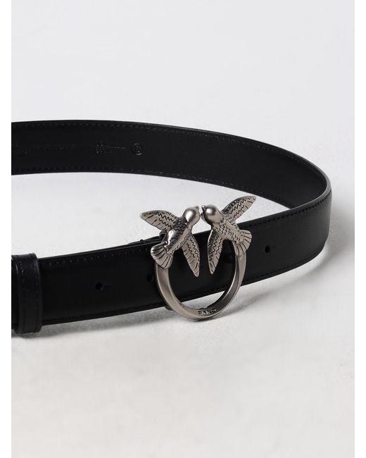 Pinko White Belt