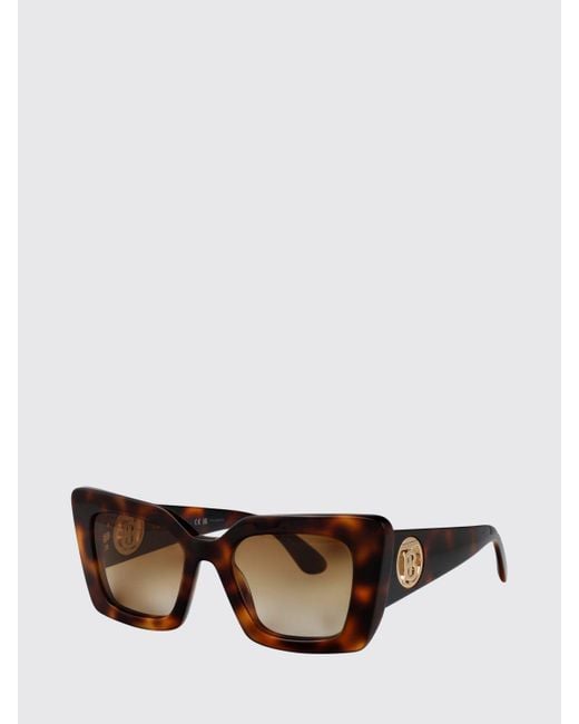 Burberry Brown 0Be4344 Daisy Acetate Sunglasses