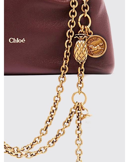 Chloé Pink Chlo&Eacute Crossbody Bag