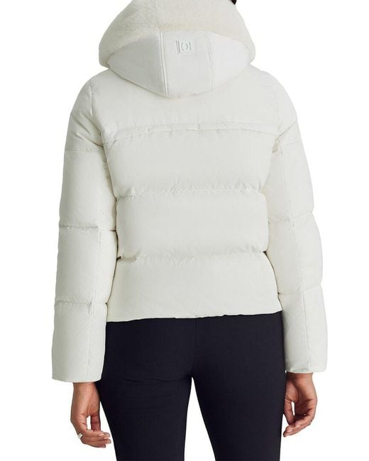 Dawn Levy Gray Nicola Puffer Coat