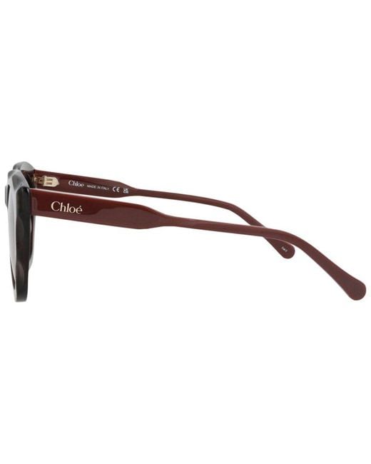 Chloé Brown 50Mm Sunglasses