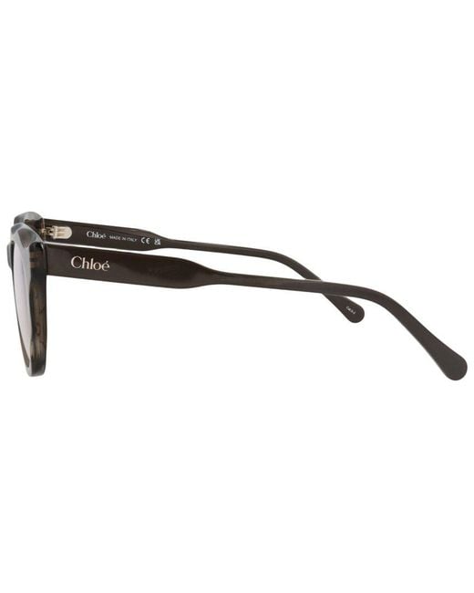 Chloé Brown 49Mm Sunglasses