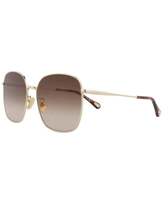 Chloé Brown 58Mm Sunglasses