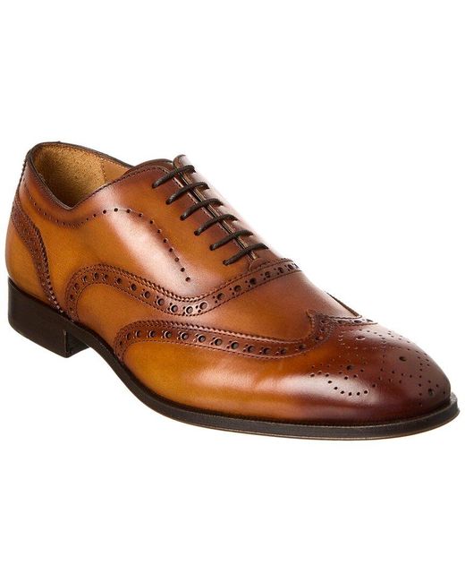 Antonio Maurizi Brown Wingtip Leather Oxford for men