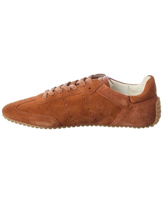 Odissi Brown Suede Sneaker
