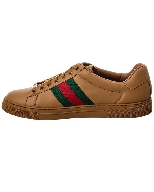 Gucci Brown Ace Leather Low-Top Sneakers With Web for men