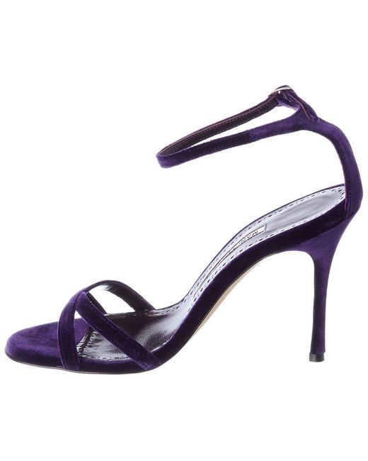Manolo Blahnik Blue Paloma 105 Velvet Sandal