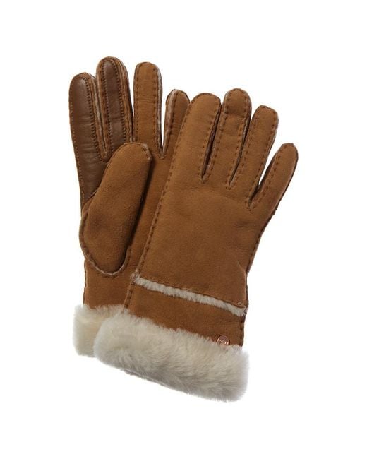Ugg Brown Turn Cuff Gloves