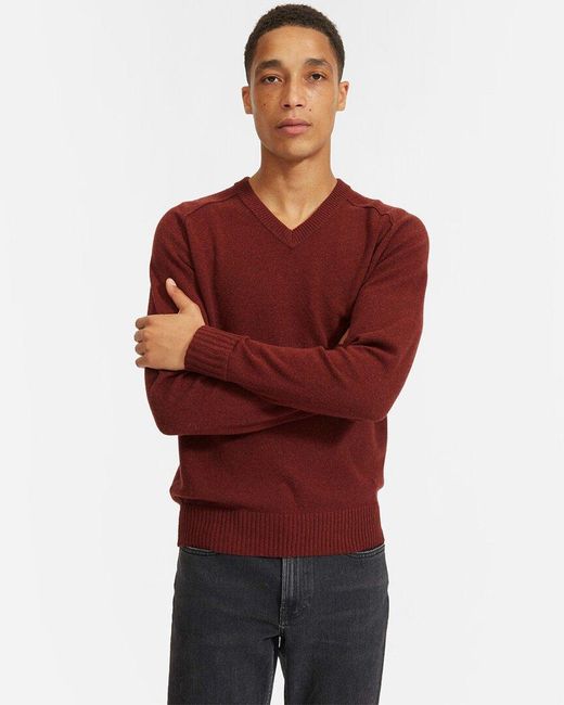 Everlane Red The Recashmere V-neck Sweater for men