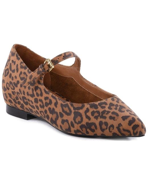 Seychelles Brown Pardon Me Suede Flat