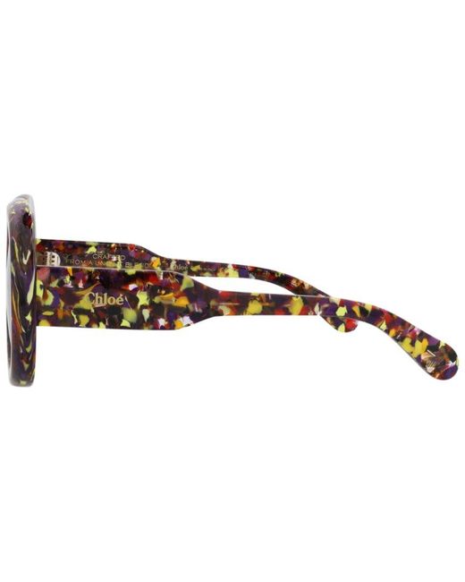 Chloé Brown 55Mm Sunglasses