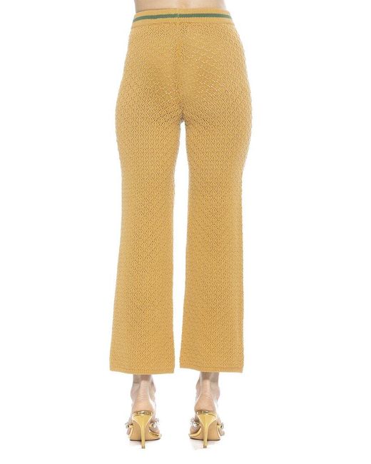 Alexia Admor Yellow Kora Knit Pants