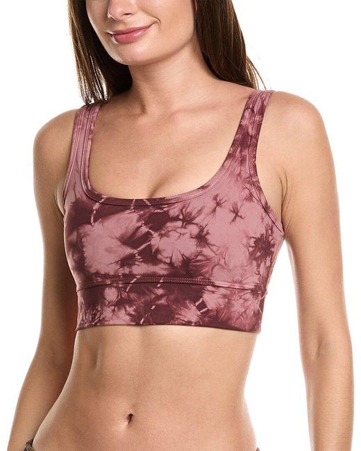 Electric and Rose Pink Christie Regular Fit Bra