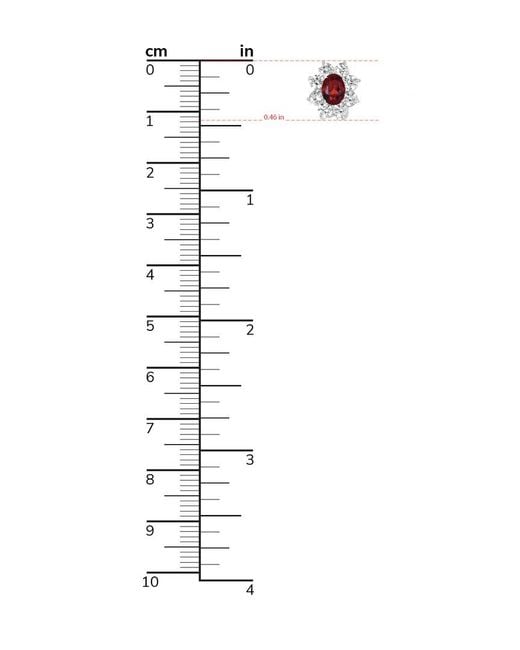 Genevive Jewelry Red Silver Earrings