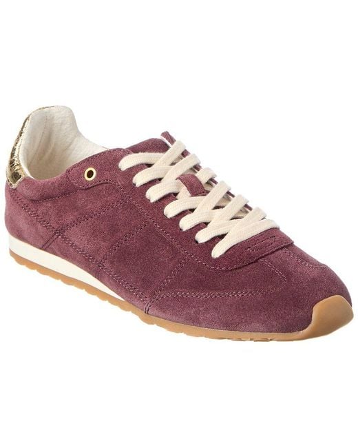 Dolce Vita Pink Diallo Suede Sneaker
