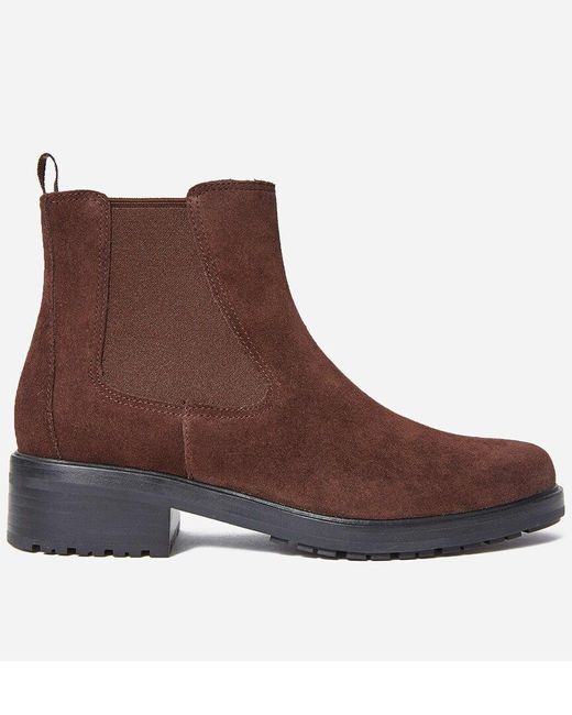 Everlane Brown The Modern Utility Chelsea Boot
