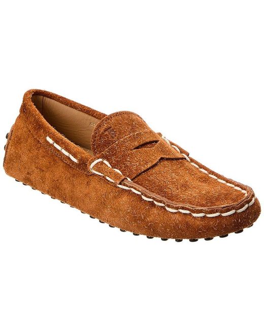 Tod's Brown Gommino Suede Loafer for men