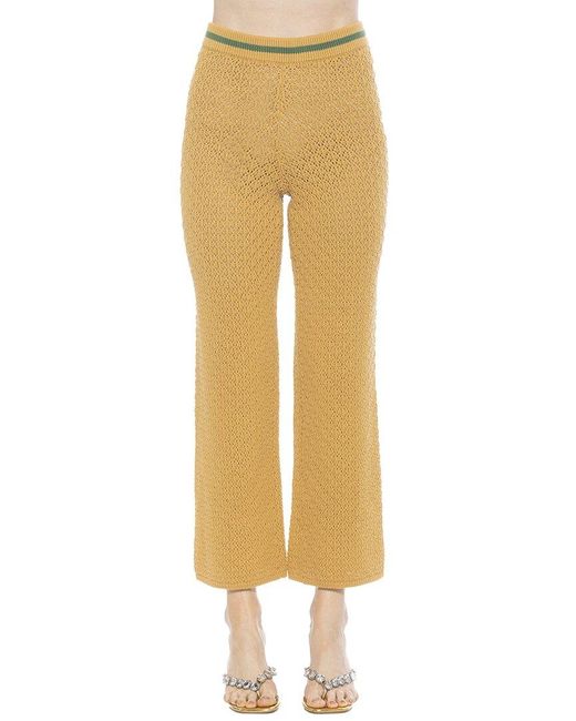 Alexia Admor Yellow Kora Knit Pants