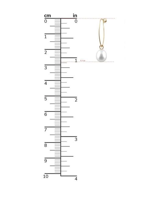 Splendid Multicolor 14k 5.5-6mm Freshwater Pearl Drop Earrings