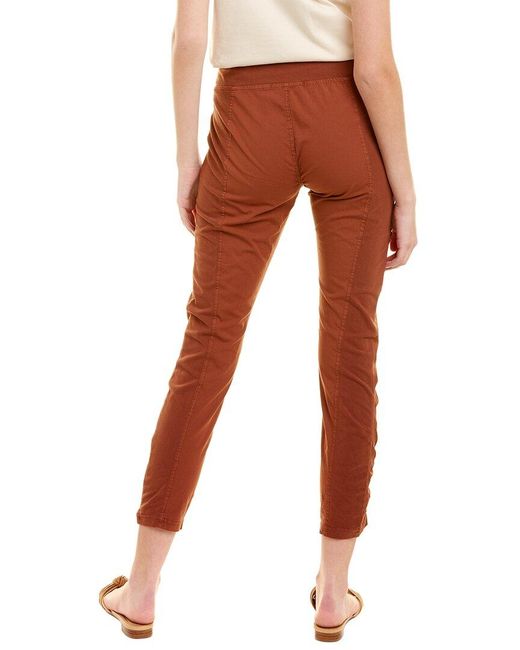 XCVI Cotton Malanda Pant in Brown | Lyst