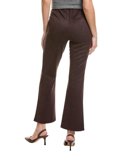 Ellen Tracy Brown Semi-Flare Pant