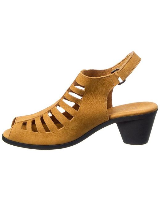 Arche Brown Soexor Leather Sandal