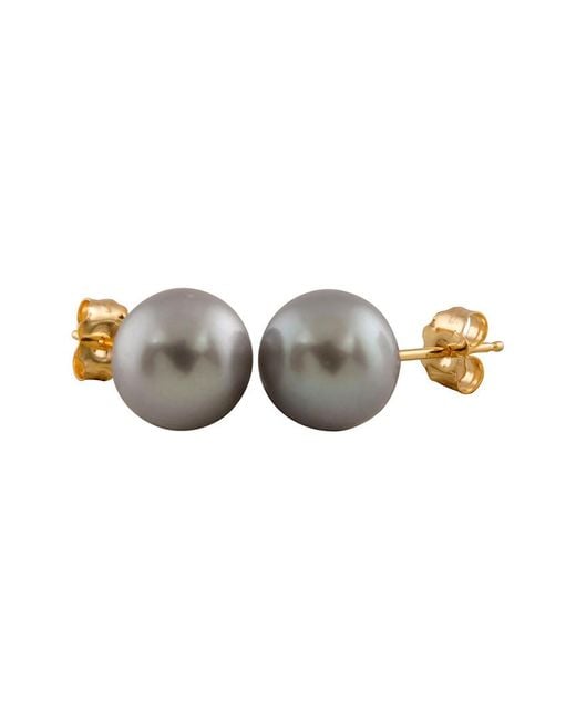 Splendid Multicolor 14k 7-7.5mm Freshwater Pearl Studs
