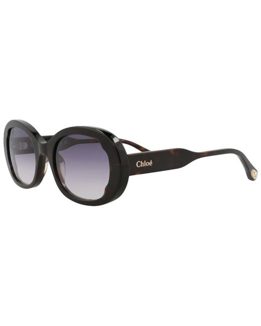 Chloé Brown Ch0197s 53mm Sunglasses