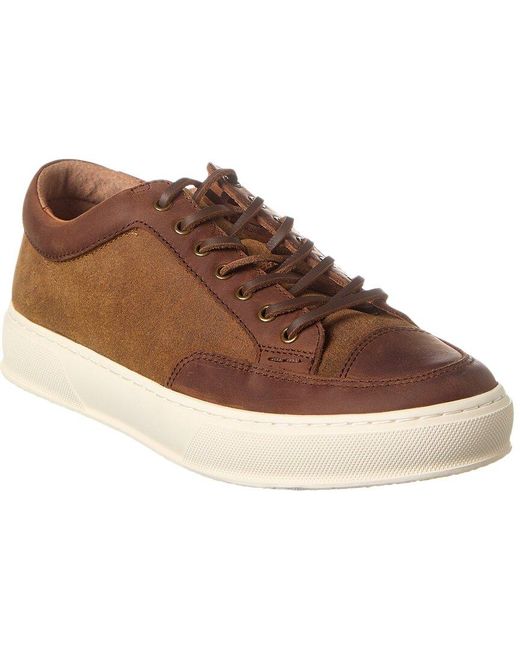 Frye Brown Hoyt Low Lace Leather Sneaker for men