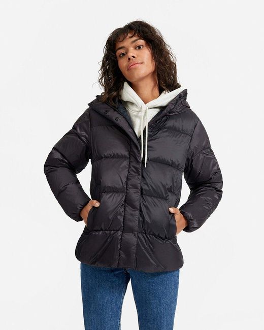 Everlane Blue The Re:down Puffy Puff Jacket