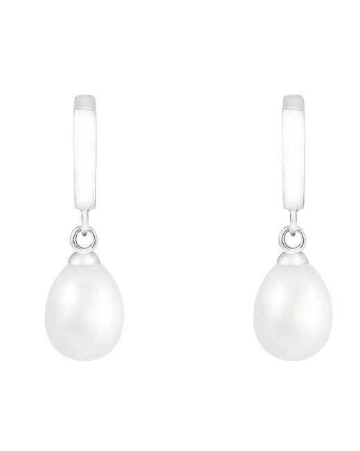 Splendid White 7.5-8mm Pearl Dangle Earrings