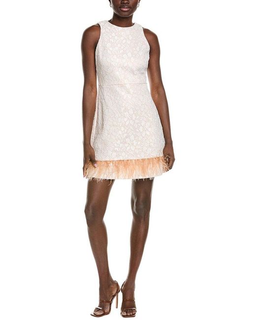 Taylor Natural Lace Mini Dress