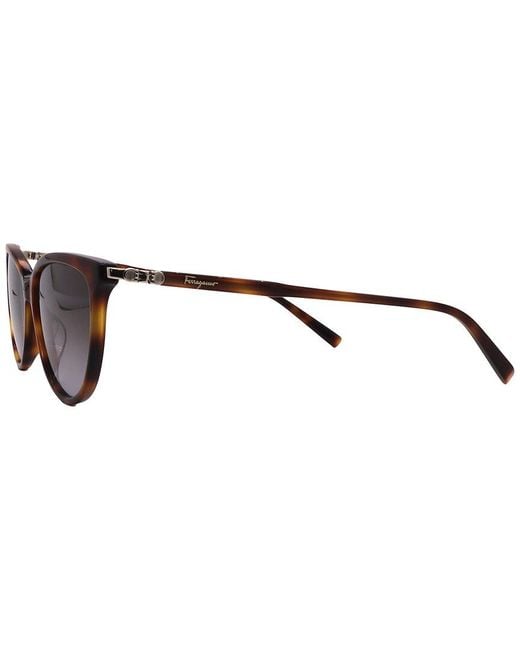 Ferragamo Brown 55Mm Sunglasses