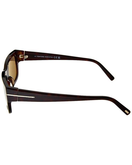 Tom Ford Brown Ezra 54Mm Sunglasses