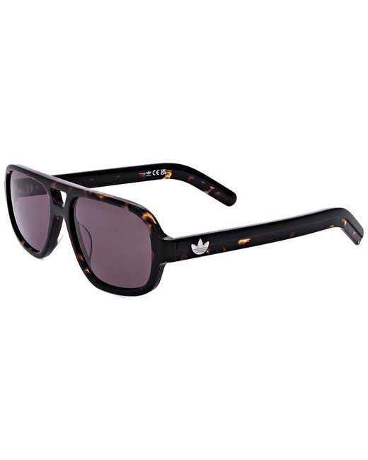 Alexander Wang Brown Adidas 55Mm Sunglasses for men